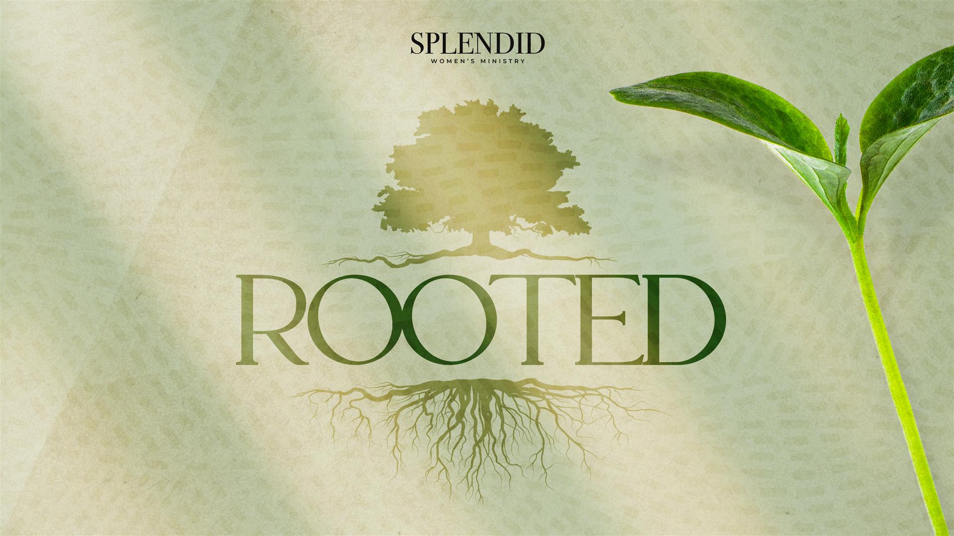 Rooted - Good Boundaries and Goodbyes 