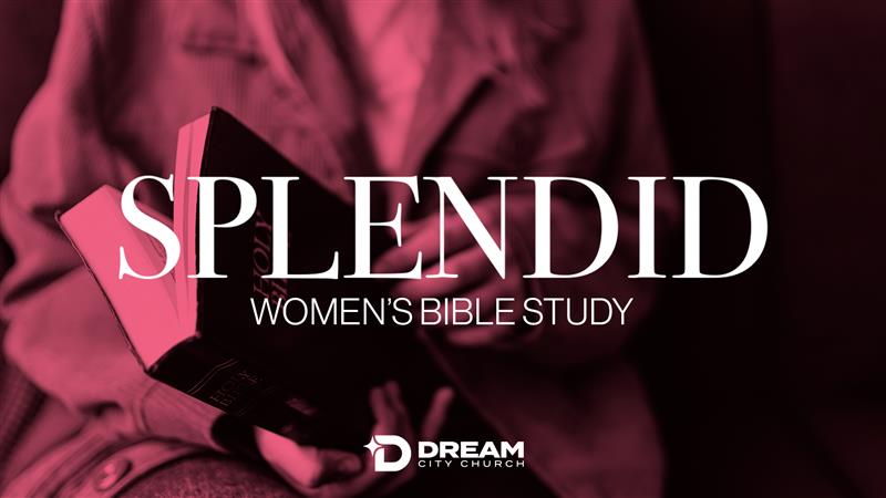 Splendid - Interactive Essential Doctrines