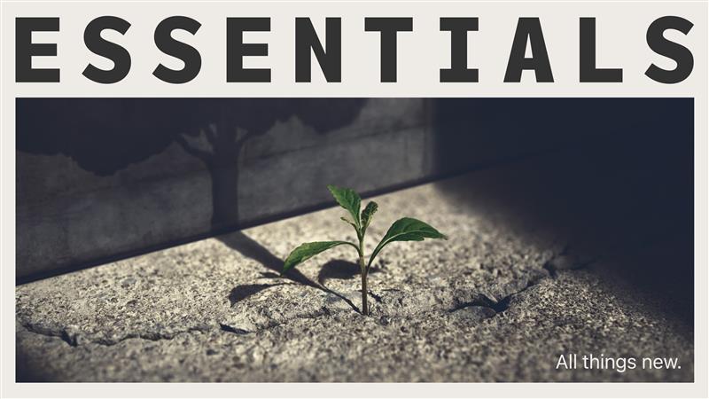 Midweek Service - Essentials: All Things New